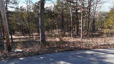 What a wonderful opportunity to have your own beautiful 1.43 on Raintree Country Club in Missouri - for sale on GolfHomes.com, golf home, golf lot