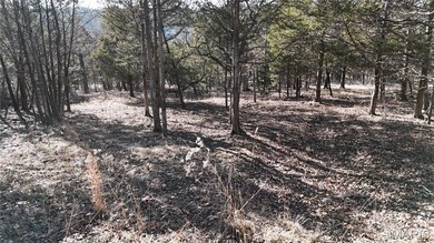 What a wonderful opportunity to have your own beautiful 1.43 on Raintree Country Club in Missouri - for sale on GolfHomes.com, golf home, golf lot