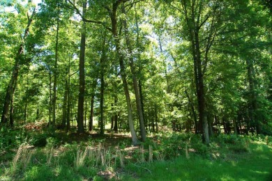 Heavily wooded 0.77 acre golf lot on #13 Fairway of Harbor Club on Harbor Club Golf and Country Club in Georgia - for sale on GolfHomes.com, golf home, golf lot