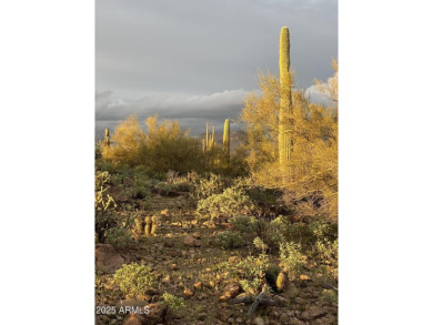 Raw parcel. 8.96 acres Looking for land with mountain views to on Queen Valley Golf Course in Arizona - for sale on GolfHomes.com, golf home, golf lot