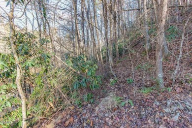 *Multiple styles & floor plans available!* Have your Smokies on Bent Creek Golf Course in Tennessee - for sale on GolfHomes.com, golf home, golf lot