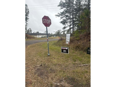 Beautiful 0.51-acre lot located in the sought-after Rayburn on Rayburn Country Club in Texas - for sale on GolfHomes.com, golf home, golf lot