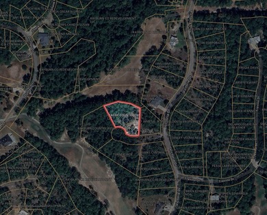 Beautiful 0.51-acre lot located in the sought-after Rayburn on Rayburn Country Club in Texas - for sale on GolfHomes.com, golf home, golf lot