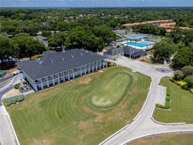 ON THE 17TH TEE OF TUSCAWILLA COUNTRY GOLF COURSE! Wake up every on Tuscawilla Country Club in Florida - for sale on GolfHomes.com, golf home, golf lot