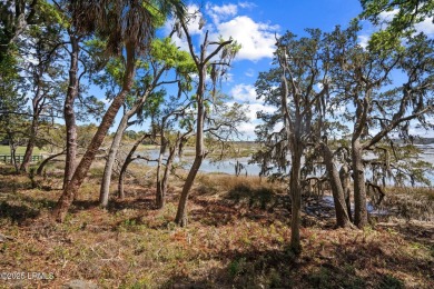 A beautiful view of the Lowcountry marsh and signature Jenkins on Dataw Island Club in South Carolina - for sale on GolfHomes.com, golf home, golf lot