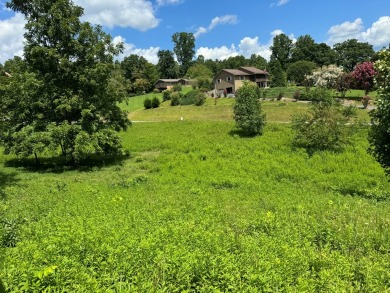 Discover the perfect blend of natural serenity and convenient on Chatuge Shores Golf Course in North Carolina - for sale on GolfHomes.com, golf home, golf lot