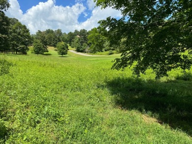 Discover the perfect blend of natural serenity and convenient on Chatuge Shores Golf Course in North Carolina - for sale on GolfHomes.com, golf home, golf lot