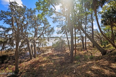 A beautiful view of the Lowcountry marsh and signature Jenkins on Dataw Island Club in South Carolina - for sale on GolfHomes.com, golf home, golf lot