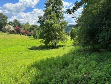 Discover the perfect blend of natural serenity and convenient on Chatuge Shores Golf Course in North Carolina - for sale on GolfHomes.com, golf home, golf lot