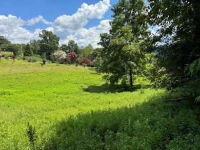 Discover the perfect blend of natural serenity and convenient on Chatuge Shores Golf Course in North Carolina - for sale on GolfHomes.com, golf home, golf lot