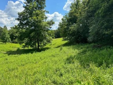 Discover the perfect blend of natural serenity and convenient on Chatuge Shores Golf Course in North Carolina - for sale on GolfHomes.com, golf home, golf lot