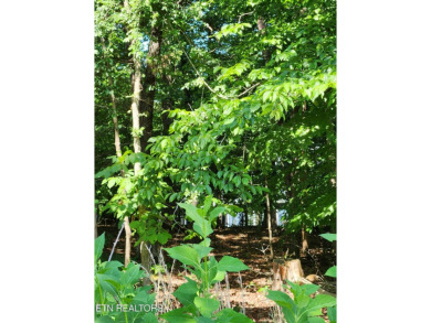 Welcome to Kahite, a Tellico Village Community.  Kahite offers on Tellico Village -The Links At Kahite Golf Course in Tennessee - for sale on GolfHomes.com, golf home, golf lot