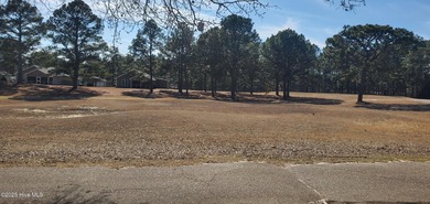 SELLER WILL PAY $1000 TOWARD CLOSING COST! Welcome to 234C on Bluff Golf Links in North Carolina - for sale on GolfHomes.com, golf home, golf lot