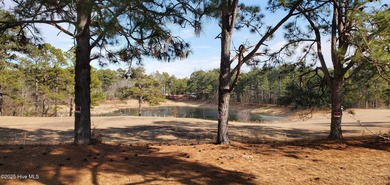 SELLER WILL PAY $1000 TOWARD CLOSING COST! Welcome to 234C on Bluff Golf Links in North Carolina - for sale on GolfHomes.com, golf home, golf lot