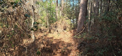 Located in the sought-after Rayburn Country community, this 0 on Rayburn Country Club in Texas - for sale on GolfHomes.com, golf home, golf lot