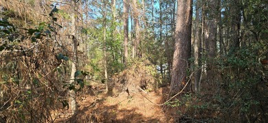 Located in the sought-after Rayburn Country community, this 0 on Rayburn Country Club in Texas - for sale on GolfHomes.com, golf home, golf lot