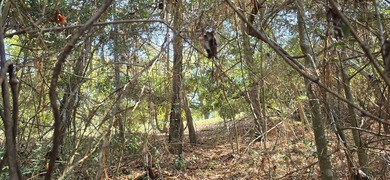 Located in the sought-after Rayburn Country community, this 0 on Rayburn Country Club in Texas - for sale on GolfHomes.com, golf home, golf lot