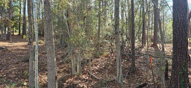 Located in the sought-after Rayburn Country community, this 0 on Rayburn Country Club in Texas - for sale on GolfHomes.com, golf home, golf lot