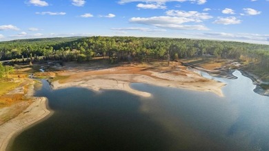 Rare Waterfront Gem - situated on the coveted south end of Lake on Rayburn Country Club in Texas - for sale on GolfHomes.com, golf home, golf lot