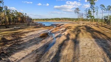 *Rare Waterfront Gem* - situated on the coveted south end of on Rayburn Country Club in Texas - for sale on GolfHomes.com, golf home, golf lot