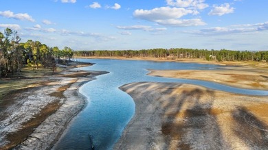 Rare Waterfront Gem - situated on the coveted south end of Lake on Rayburn Country Club in Texas - for sale on GolfHomes.com, golf home, golf lot