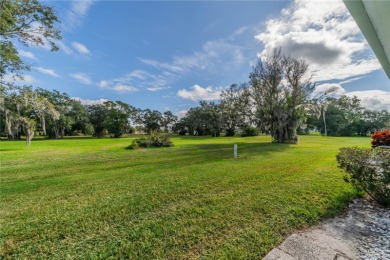 Nothing todo in this completely renovated 2 bedroom, 2 bathroom on Kings Point Executive Golf Course in Florida - for sale on GolfHomes.com, golf home, golf lot