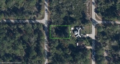 Great lot located in a secluded section of Placid Lakes. On a on Placid Lakes Country Club in Florida - for sale on GolfHomes.com, golf home, golf lot