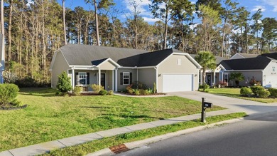 Welcome home! Tucked away in the quiet, low-HOA North Village on Palmetto Greens Golf and Country Club in South Carolina - for sale on GolfHomes.com, golf home, golf lot