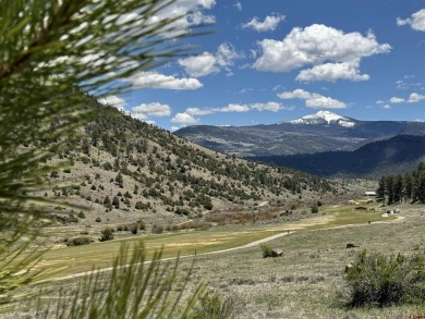 Suzy Woodward, Team Murphy Realty, C: , suzy,  : WONDERFUL on Rio Grande Golf Club in Colorado - for sale on GolfHomes.com, golf home, golf lot