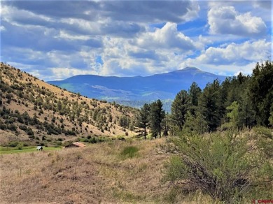 Suzy Woodward, Team Murphy Realty, C: , suzy,  : WONDERFUL on Rio Grande Golf Club in Colorado - for sale on GolfHomes.com, golf home, golf lot