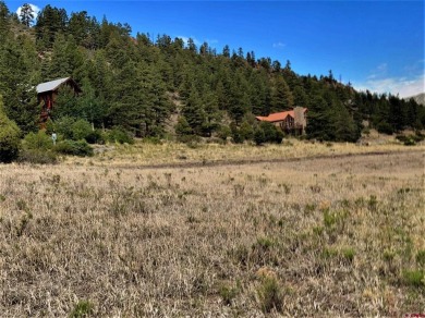 Suzy Woodward, Team Murphy Realty, C: , suzy,  : WONDERFUL on Rio Grande Golf Club in Colorado - for sale on GolfHomes.com, golf home, golf lot