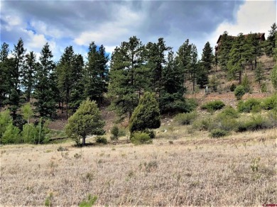 Suzy Woodward, Team Murphy Realty, C: , suzy,  : WONDERFUL on Rio Grande Golf Club in Colorado - for sale on GolfHomes.com, golf home, golf lot