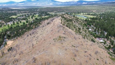 Zen Mountain - this rare 115+ acre property offers panoramic on Lake Shastina Golf Course in California - for sale on GolfHomes.com, golf home, golf lot