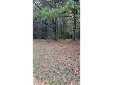 Nice Level Wooded Interior 0.25 Acre Lot located in Beautiful on Pendleton Harbor in Texas - for sale on GolfHomes.com, golf home, golf lot