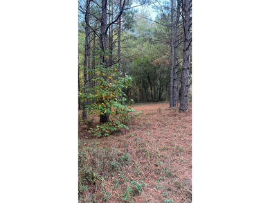 Nice Level Wooded Interior 0.25 Acre Lot located in Beautiful on Pendleton Harbor in Texas - for sale on GolfHomes.com, golf home, golf lot