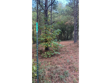 Nice Level Wooded Interior 0.25 Acre Lot located in Beautiful on Pendleton Harbor in Texas - for sale on GolfHomes.com, golf home, golf lot