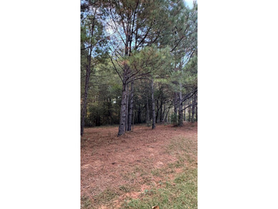 Nice Level Wooded Interior 0.25 Acre Lot located in Beautiful on Pendleton Harbor in Texas - for sale on GolfHomes.com, golf home, golf lot