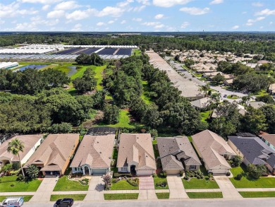 Welcome to your new home in the highly sought-after Country Club on Country Club of Mount Dora in Florida - for sale on GolfHomes.com, golf home, golf lot
