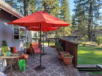 JUST LISTED!!! Nestled among towering pine trees, this charming on Lake Shastina Golf Course in California - for sale on GolfHomes.com, golf home, golf lot