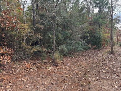 This rare opportunity includes two lots totaling  acre in the on Rayburn Country Club in Texas - for sale on GolfHomes.com, golf home, golf lot