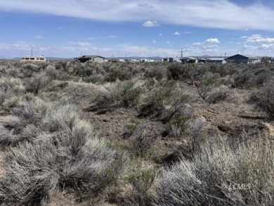 33 or 14375 SQ FT large parcel with community water available on Christmas Valley Golf Course in Oregon - for sale on GolfHomes.com, golf home, golf lot