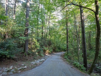 Welcome to this stunning vacant lot located on the prestigious on Lake Toxaway Country Club in North Carolina - for sale on GolfHomes.com, golf home, golf lot