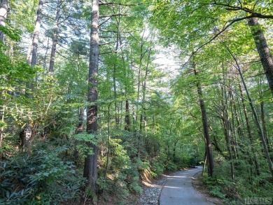 Welcome to this stunning vacant lot located on the prestigious on Lake Toxaway Country Club in North Carolina - for sale on GolfHomes.com, golf home, golf lot