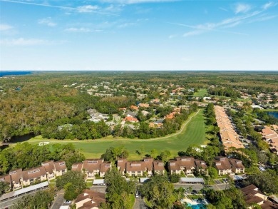 One or more photo(s) has been virtually staged. Discover this on East Lake Woodlands Country Club in Florida - for sale on GolfHomes.com, golf home, golf lot