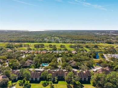 One or more photo(s) has been virtually staged. Discover this on East Lake Woodlands Country Club in Florida - for sale on GolfHomes.com, golf home, golf lot