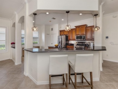 Breathtaking Lake & Sunset Views | Maintenance-Free Luxury on Venetian Golf and River Club in Florida - for sale on GolfHomes.com, golf home, golf lot