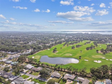 Mid-Century Modern Ranch on Pelican Golf Course.
Bathed in on Belleview Biltmore Golf Club in Florida - for sale on GolfHomes.com, golf home, golf lot