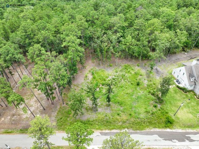 Serene lakeside paradise beckons at the highly sought-after on Rayburn Country Club in Texas - for sale on GolfHomes.com, golf home, golf lot