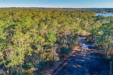 Nestled in a coveted enclave of Rayburn Country, this on Rayburn Country Club in Texas - for sale on GolfHomes.com, golf home, golf lot