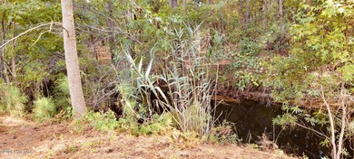 Exceptional .42-acre homesite at the end of a quiet cul-de-sac on Members Club At St. James Plantation in North Carolina - for sale on GolfHomes.com, golf home, golf lot